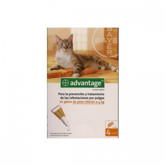 Advantage Gato Sol Uncao 0,4mlx4 Ate 4kg sol uno punctif VET